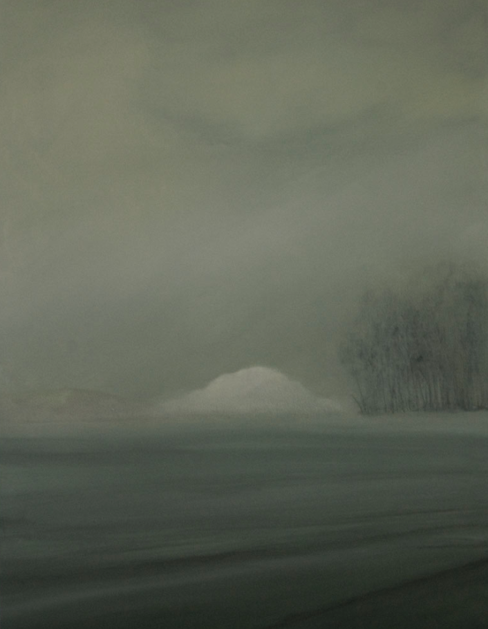 <p><em>Mist,</em><br />olieverf op katoen<br />60 x 80 cm (2012)</p>